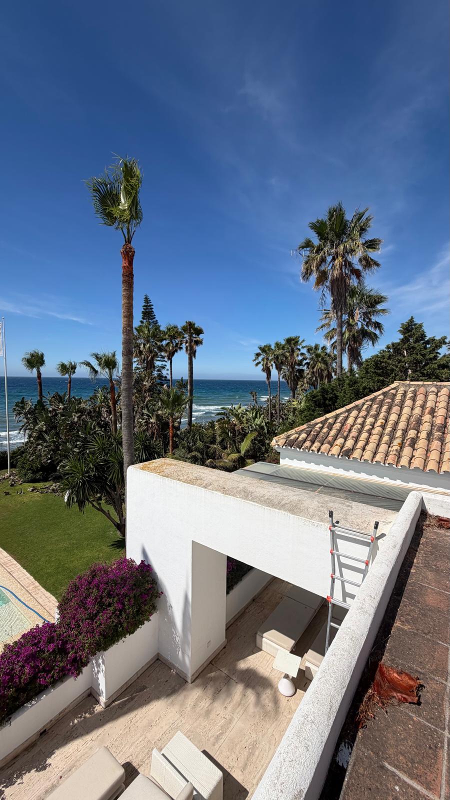 El entorno frente al mar — cubierta de teja, piscina y primera línea de playa enmarcadas por palmeras maduras y buganvillas.